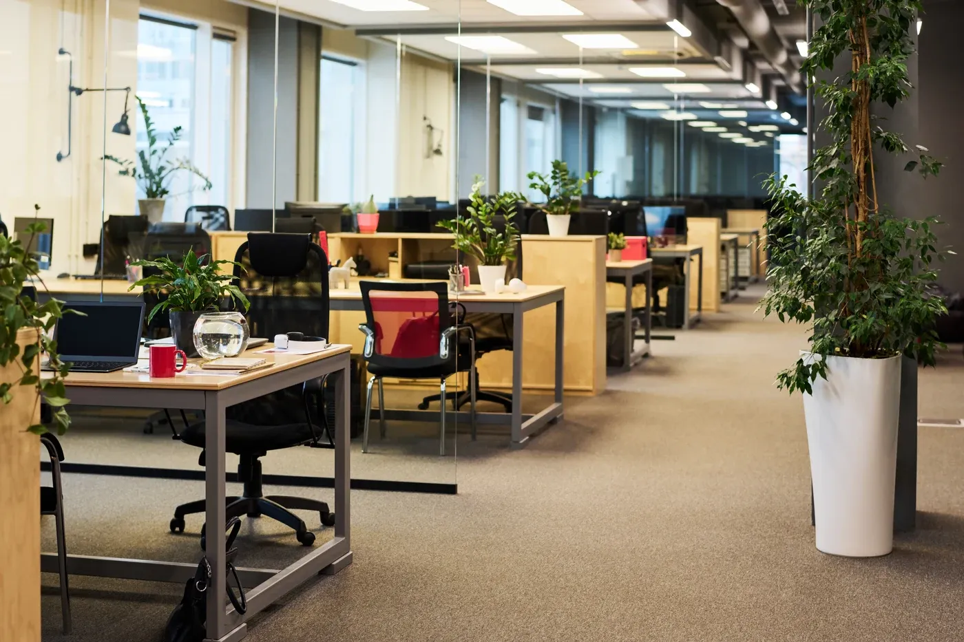 Désinfection d’un bureau par nébulisation