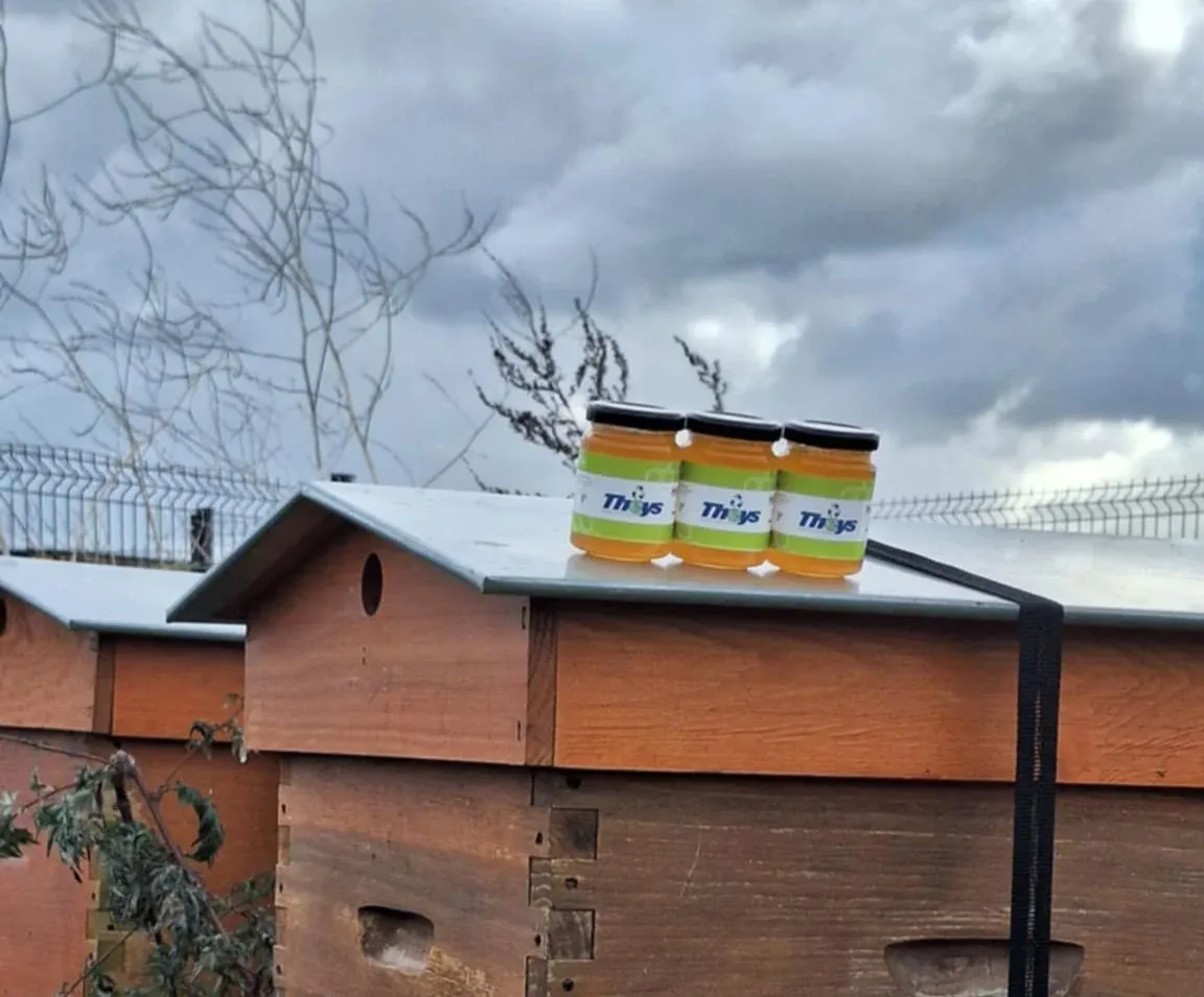 Ruches installées sur le centre de tri THEYS de Cuincy