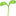 🌱