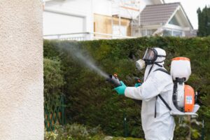 Hygiène et Services